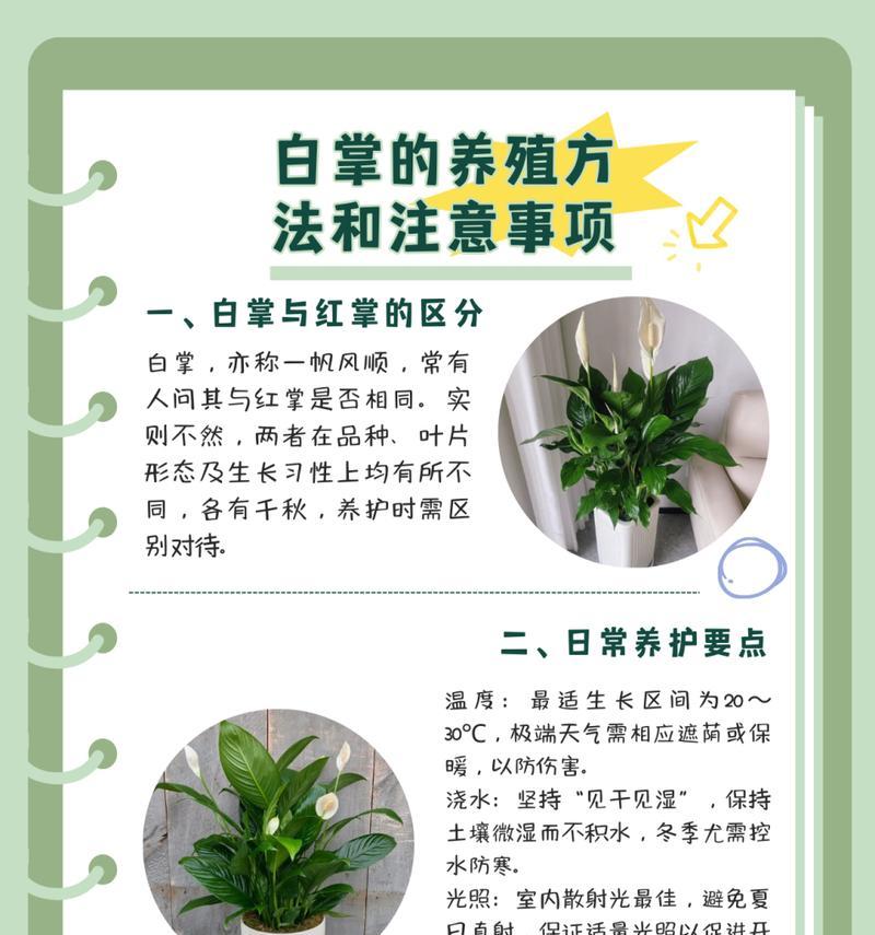 白檀仙人掌配土有哪些讲究？