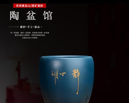 君子兰专用透气盆的效果如何？使用透气盆的正确方法是什么？