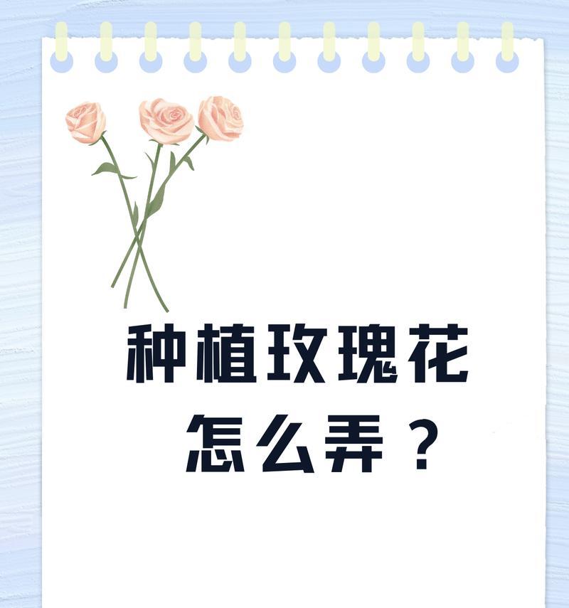 海里种植玫瑰花的方法是什么？可行吗？