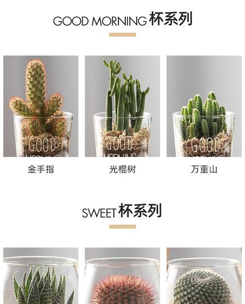三色仙人掌盆栽的种植技巧是什么？