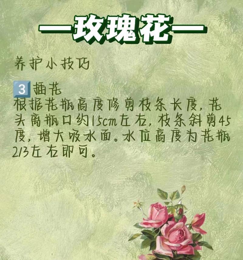 玫瑰花凋落后如何修剪枝条？修剪的正确方法是什么？
