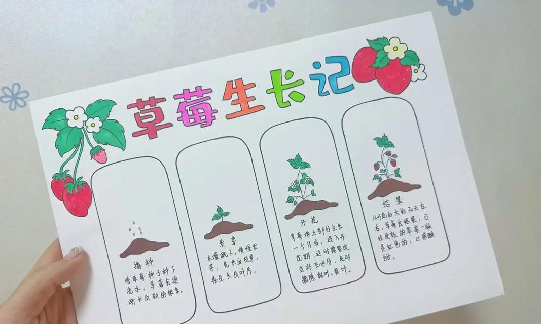 仙人掌球摘叶子的正确方法是什么？