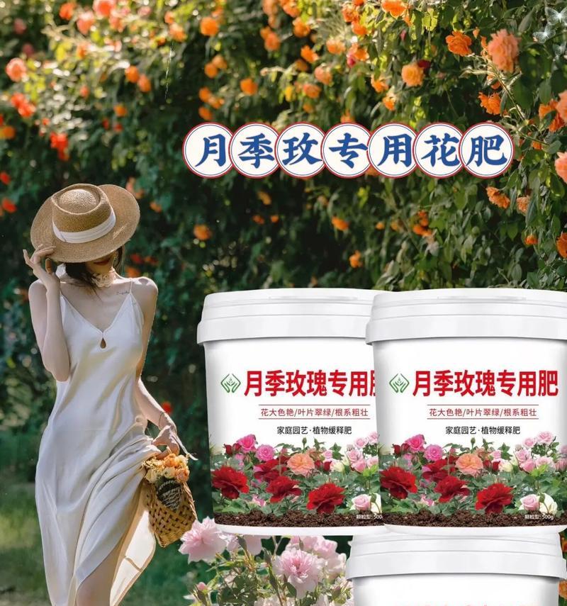 玫瑰花施肥氮磷钾比例如何确定？