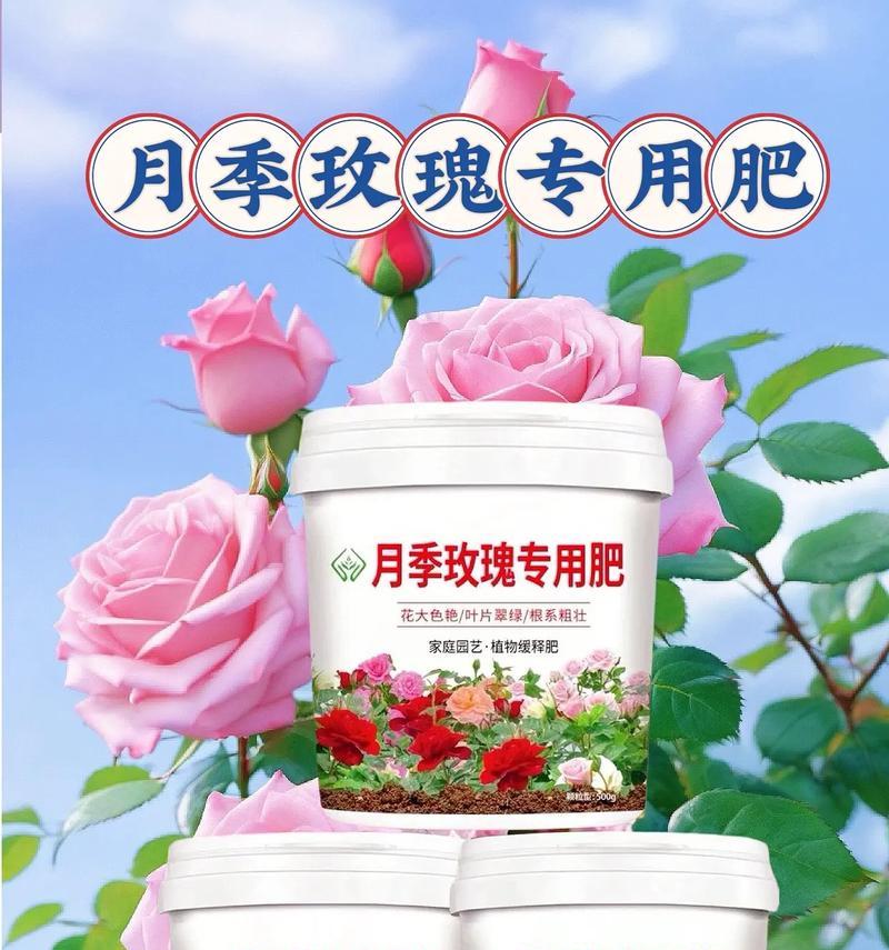 玫瑰花施肥氮磷钾比例如何确定？