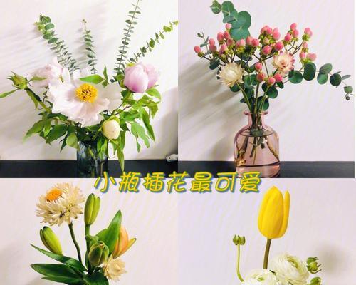 牡丹花扦插成多头的方法和技巧是什么？