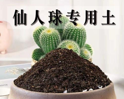 所有土壤都适合养仙人球吗？如何选择合适的土壤？