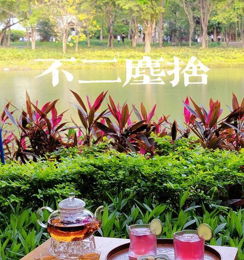 玫瑰花与红茶搭配好吗？如何正确养殖？