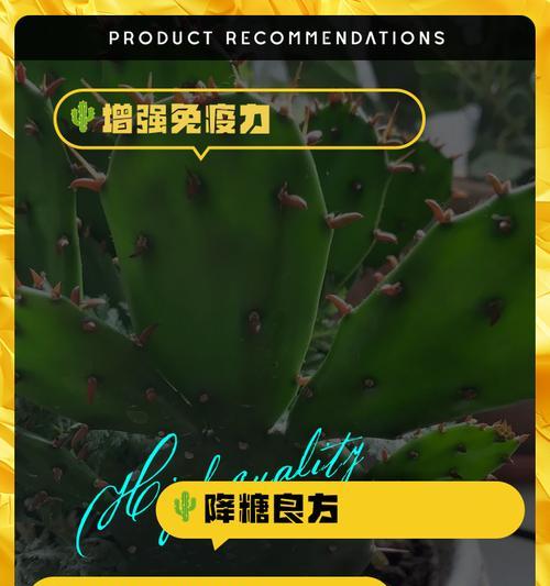 仙人掌室外浇水方法是什么？多久浇一次合适？