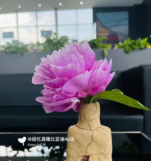 如何制作简易的玫瑰花栽培泥土？