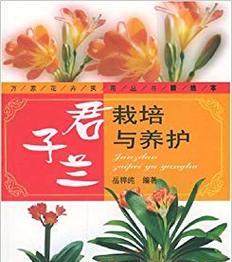 君子兰的栽培技巧有哪些？