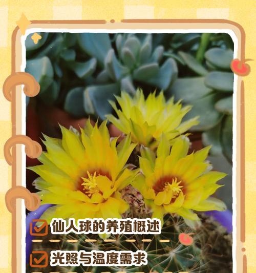 白雪光仙人球春季浇水的正确方法是什么？