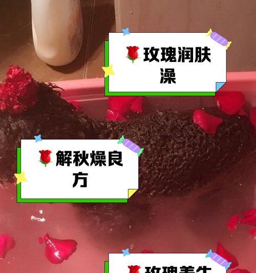 水中养玫瑰花的技巧有哪些？