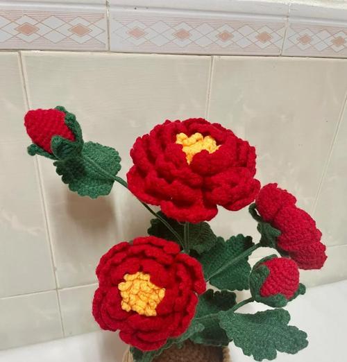 在商品房内种植牡丹花的方法？