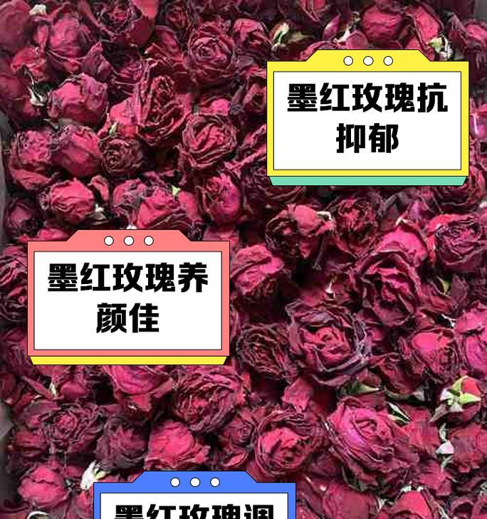 墨红玫瑰与普通玫瑰花有何不同？各自的特性是什么？