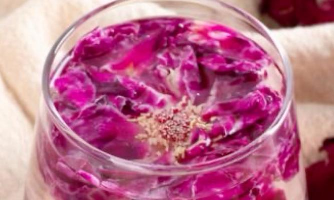 墨红玫瑰与普通玫瑰花有何不同？各自的特性是什么？