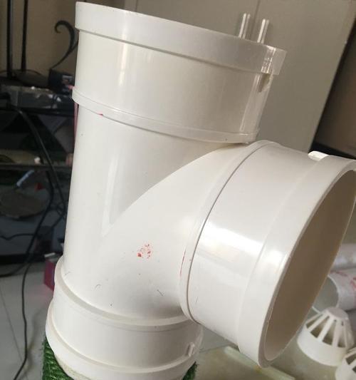 仙人掌猫水盆的养护技巧有哪些？