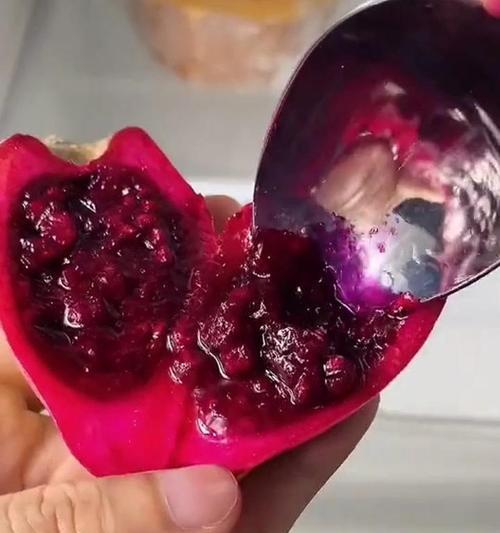 仙人掌在沙漠中繁殖的秘诀是什么？