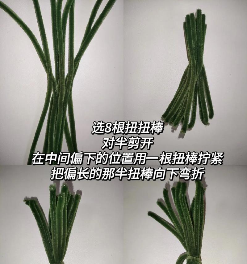 盆栽仙人掌取叶子时应该注意什么？