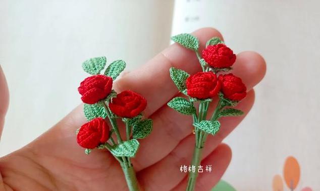 钩玫瑰花枝上叶子数量正常吗？如何判断钩玫瑰花枝叶是否健康？