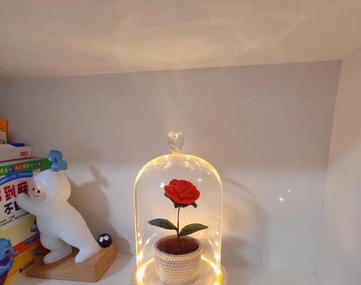 钩玫瑰花枝上叶子数量正常吗？如何判断钩玫瑰花枝叶是否健康？