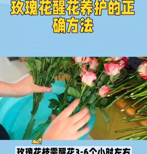 玫瑰花和杂草插花技巧是什么？如何保持插花的持久性？