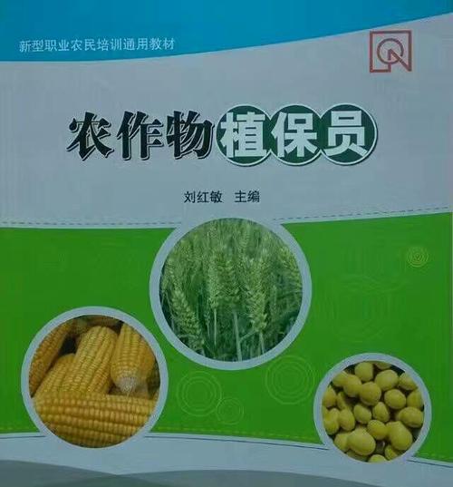 玫瑰花培育员的招聘要求有哪些？如何成为合格的培育员？