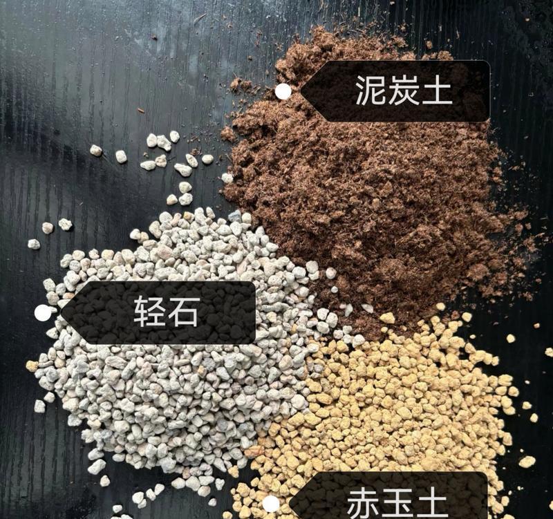 梨花仙人掌的种植方法是什么？