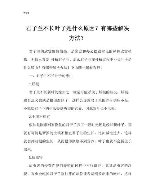 君子兰叶子发黄的解决方法是什么？