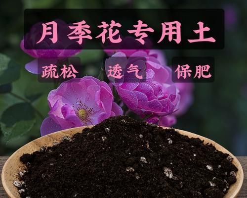 云南玫瑰花种植需要什么土壤？