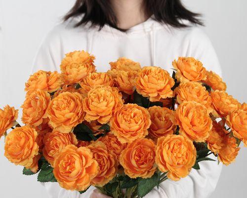 塑料牡丹花的养护技巧是什么？