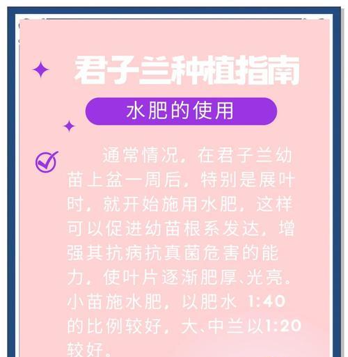 新栽君子兰的正确浇水方法是什么？