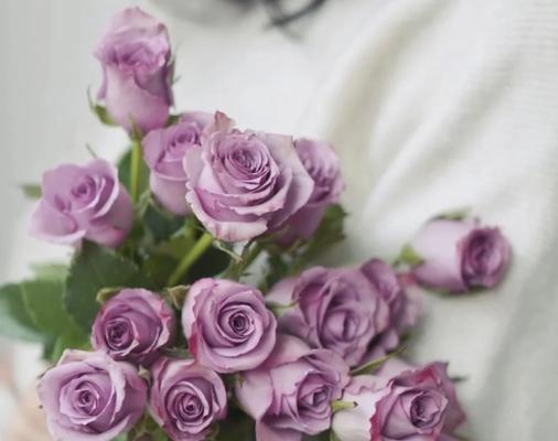 无法正常开放的玫瑰花如何养护？