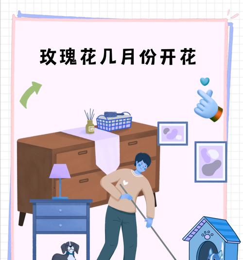 春季玫瑰花打底的养护技巧有哪些？