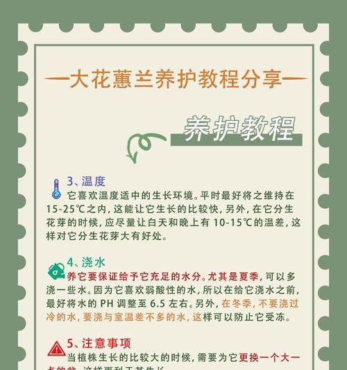 兰花和牡丹花的养护方法有何不同？如何同时养好？