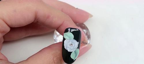 唯美玫瑰花如何修剪才好看？修剪时应注意哪些技巧？