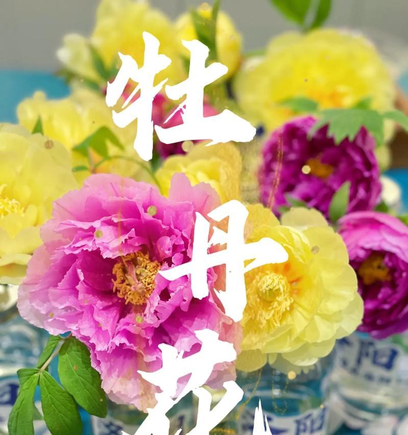 玻璃瓶中的牡丹花如何养护？玻璃瓶养牡丹花的秘诀是什么？