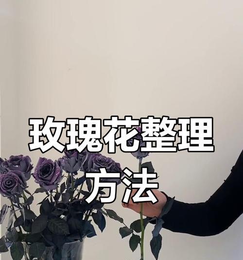 玫瑰花是否难养以及正确的养护方法是什么？