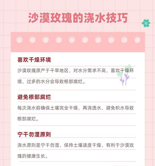 玫瑰花是否难养以及正确的养护方法是什么？