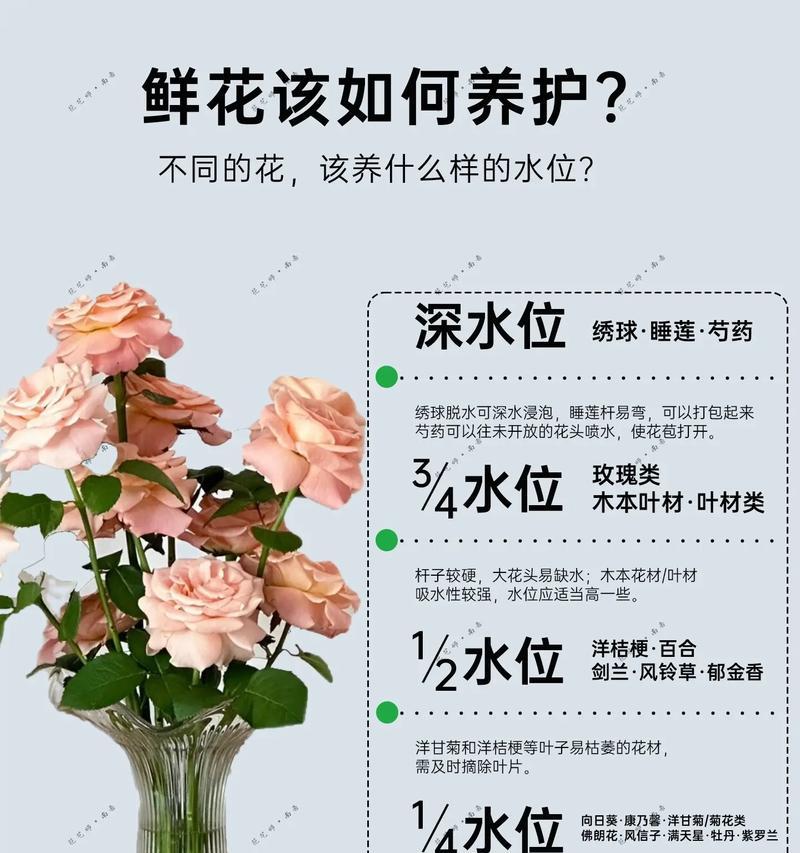 高级玫瑰花泥土的制作方法？怎样才能提供最佳养分？