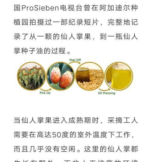 仙人掌仔的养护方法是什么？
