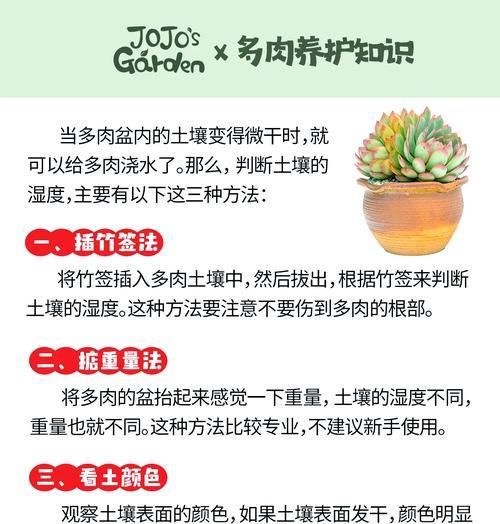 阳光玫瑰花前后的浇水技巧是什么？怎样浇水最适宜？