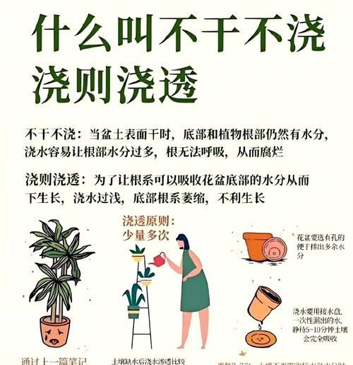 园土种植仙人球的浇水技巧是什么？如何避免过量或不足？
