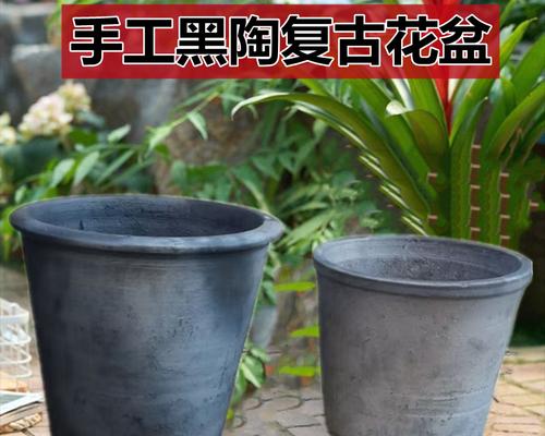 陶花盆种植君子兰的步骤是什么？