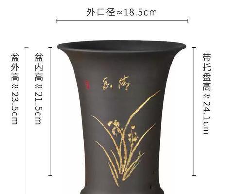 陶花盆种植君子兰的步骤是什么？