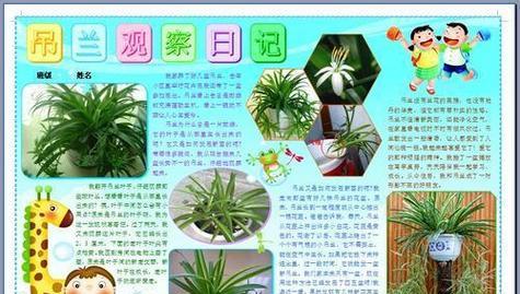 仙人掌水培发根的条件和方法是什么？