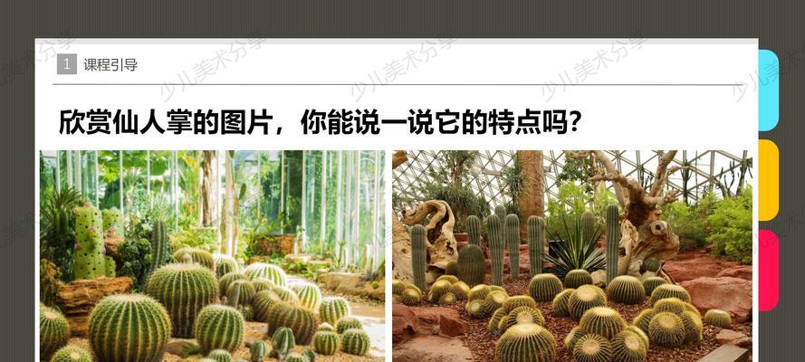 剪的仙人掌如何栽培才能保持美观？有哪些栽培技巧可以分享？