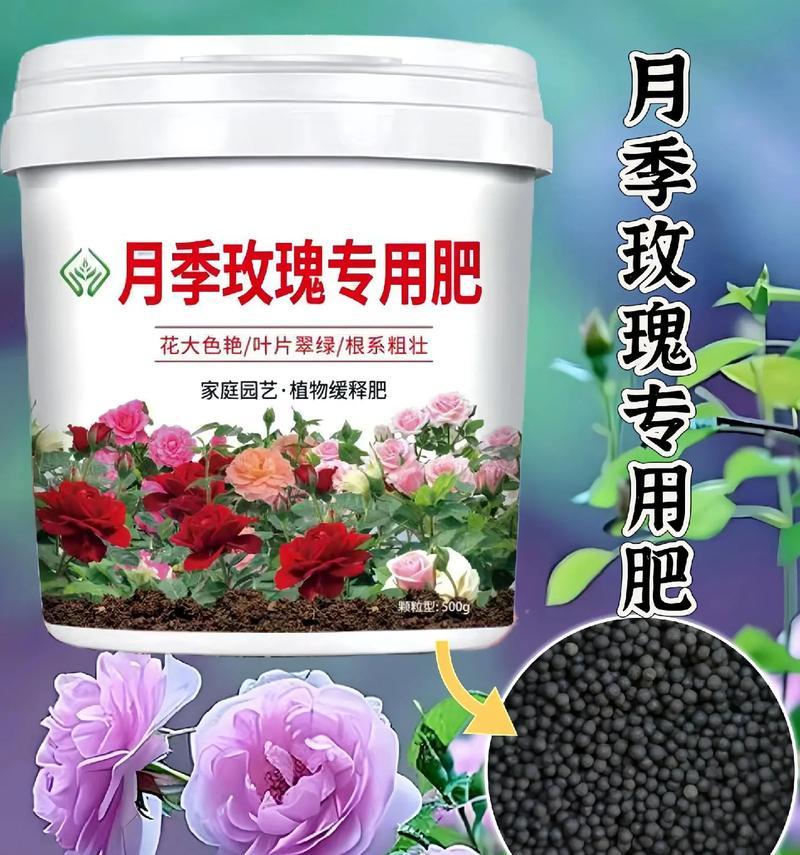 玫瑰花施肥的原因是什么？如何正确施肥？