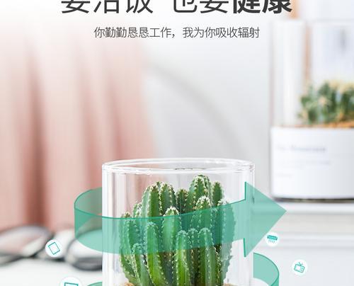 玉露兽仙人掌开花的养护技巧是什么？