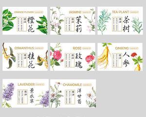 薰衣草与玫瑰花有哪些区别？如何区分？