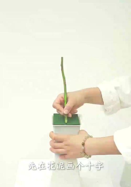 玫瑰花插在花泥中如何保持长久？